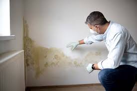 Forensic Mold Investigation in South Milwaukee, WI